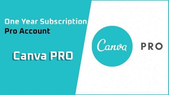 オンラインサポート Canva Pro プライベート アカウント 1 年間のサブスクリプション オフィシャル オリジナル オンライン グラフィックデザイン ソフトウェア