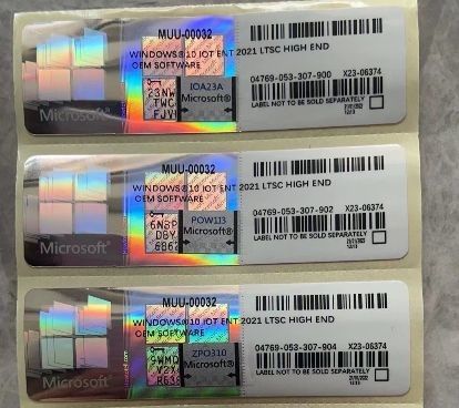 Windows 10/11 IOT ENT 2024 LTSC ソフトウェア Windows 10 11 ENT 2019 2021 2024 LTSC 多言語グローバルオンラインアクティベーション